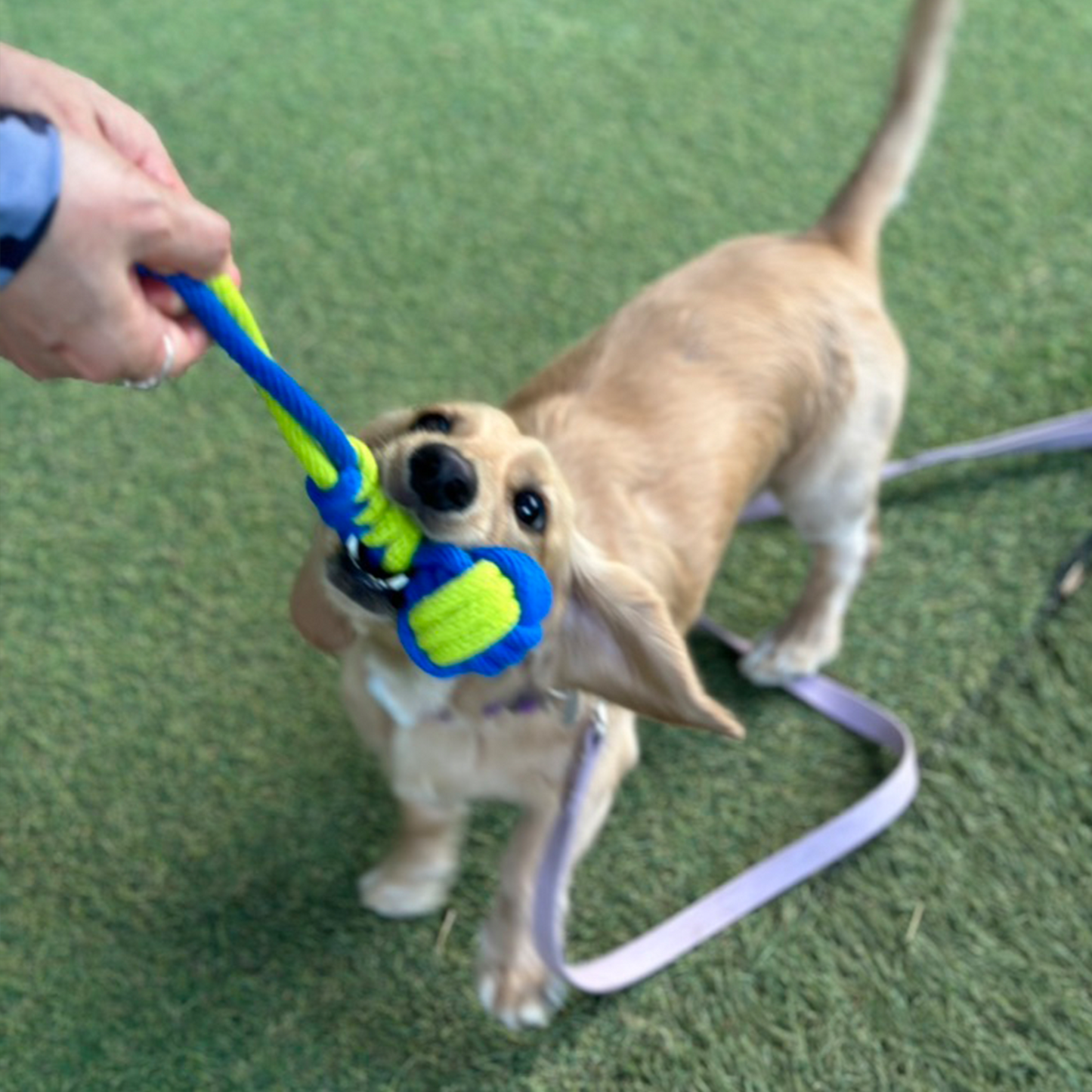 【LEAPオリジナル】ロープボール