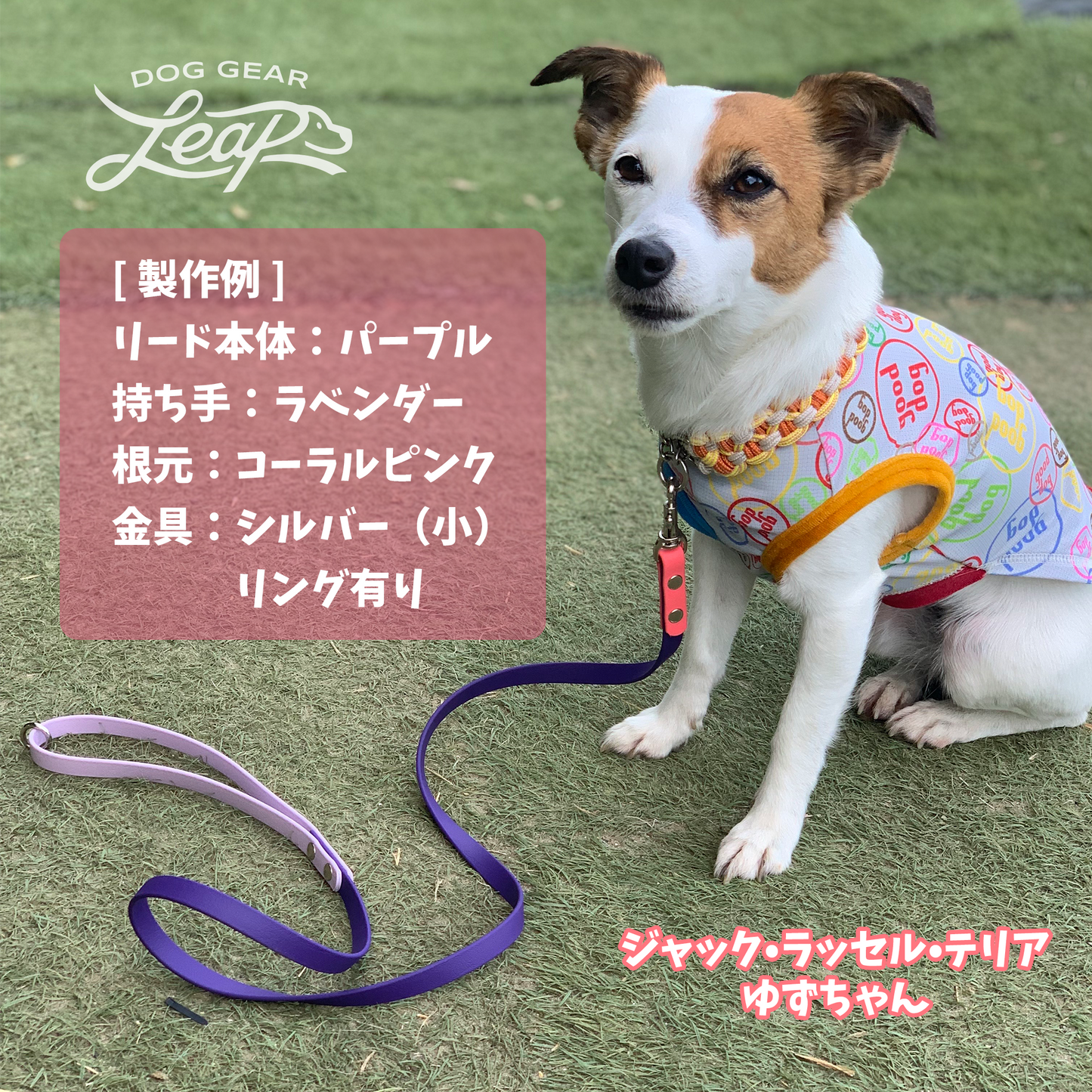 【LEAPオリジナル】 BioThane製 120cmリード 幅1.3cm(セミオーダー)