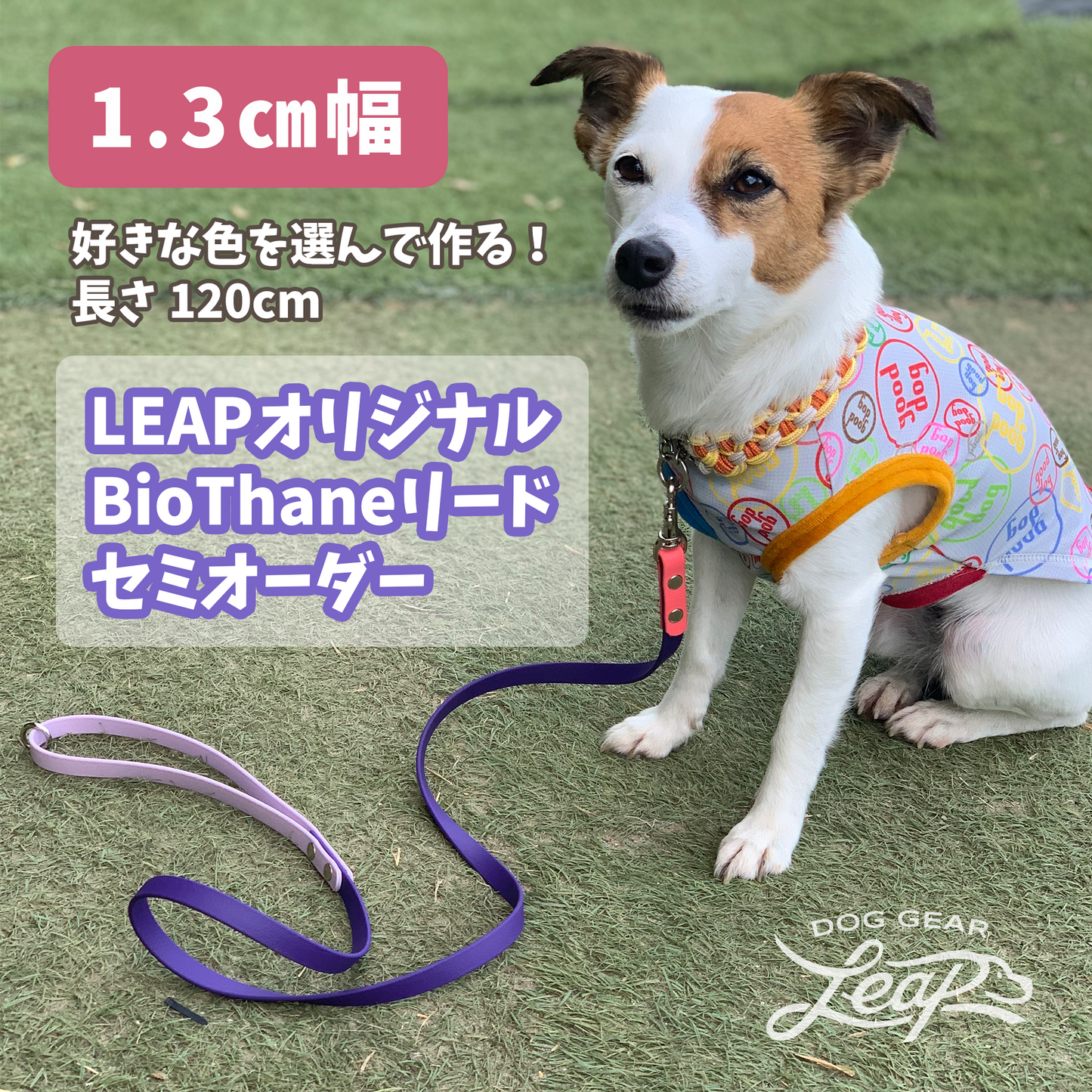 【LEAPオリジナル】 BioThane製 120cmリード 幅1.3cm(セミオーダー)