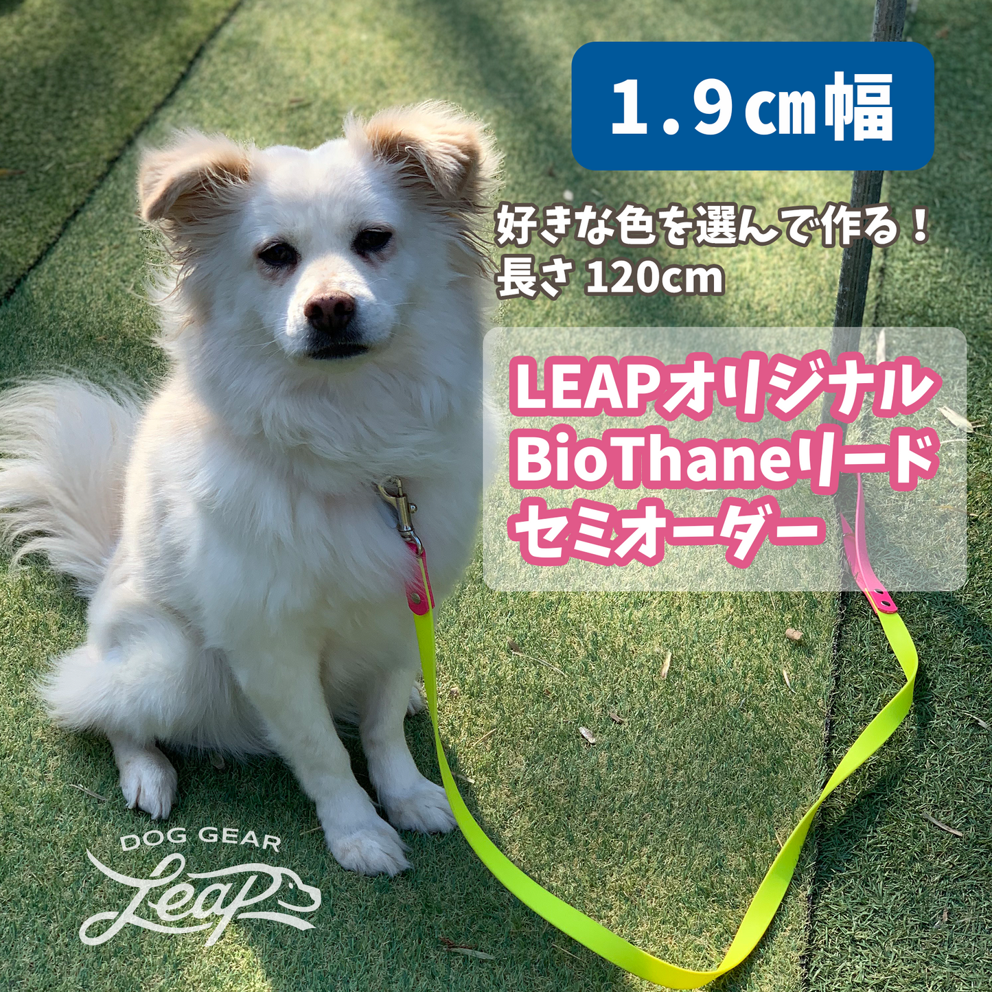 【LEAPオリジナル】 BioThane製 120cmリード 幅1.9cm(セミオーダー)