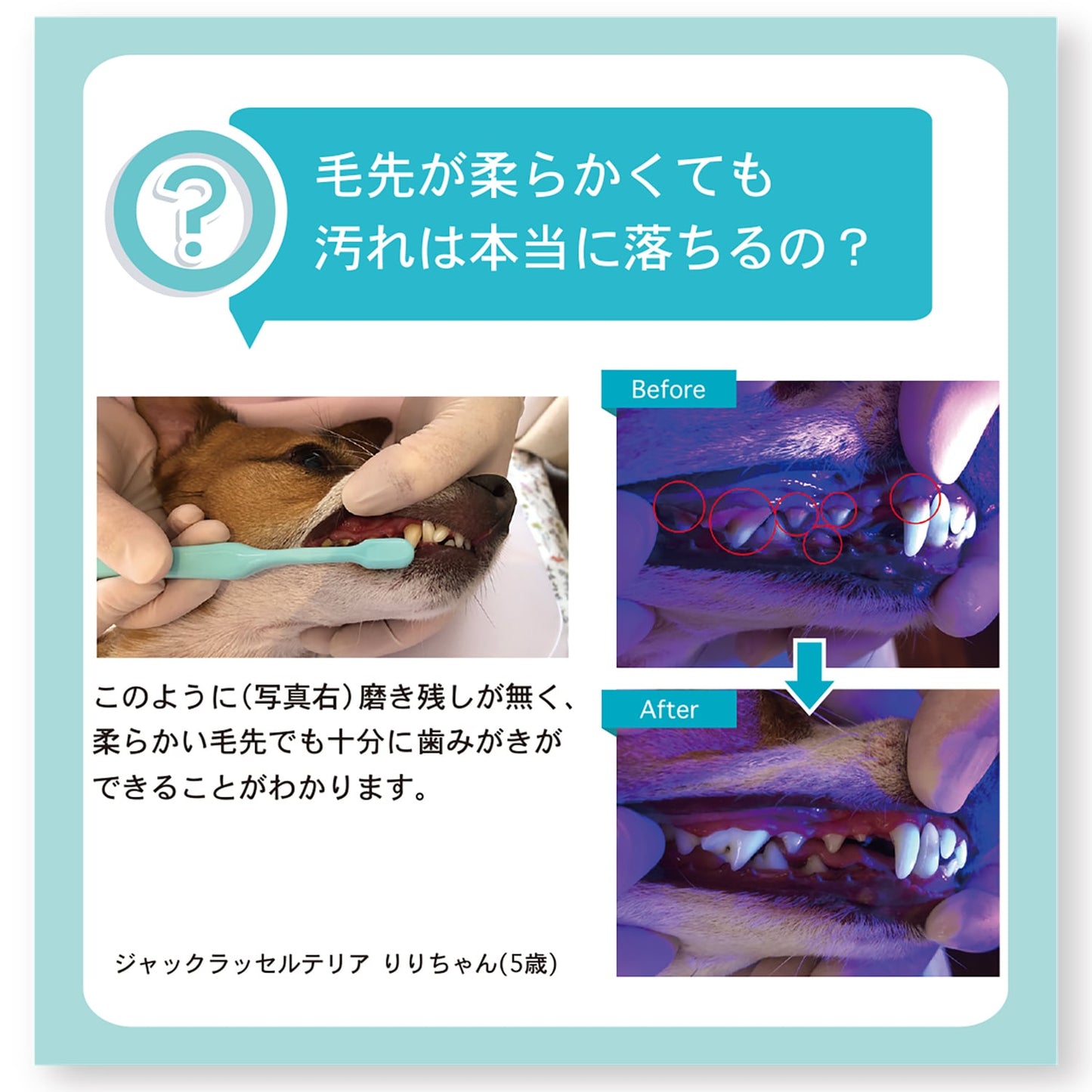 Ora Bio オーラバイオブラシ 長毛タイプ【日本製】