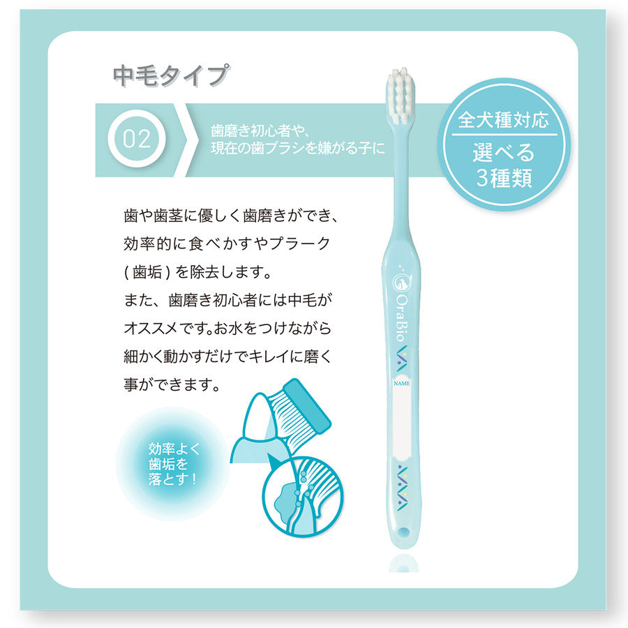 Ora Bio オーラバイオブラシ 中毛タイプ【日本製】