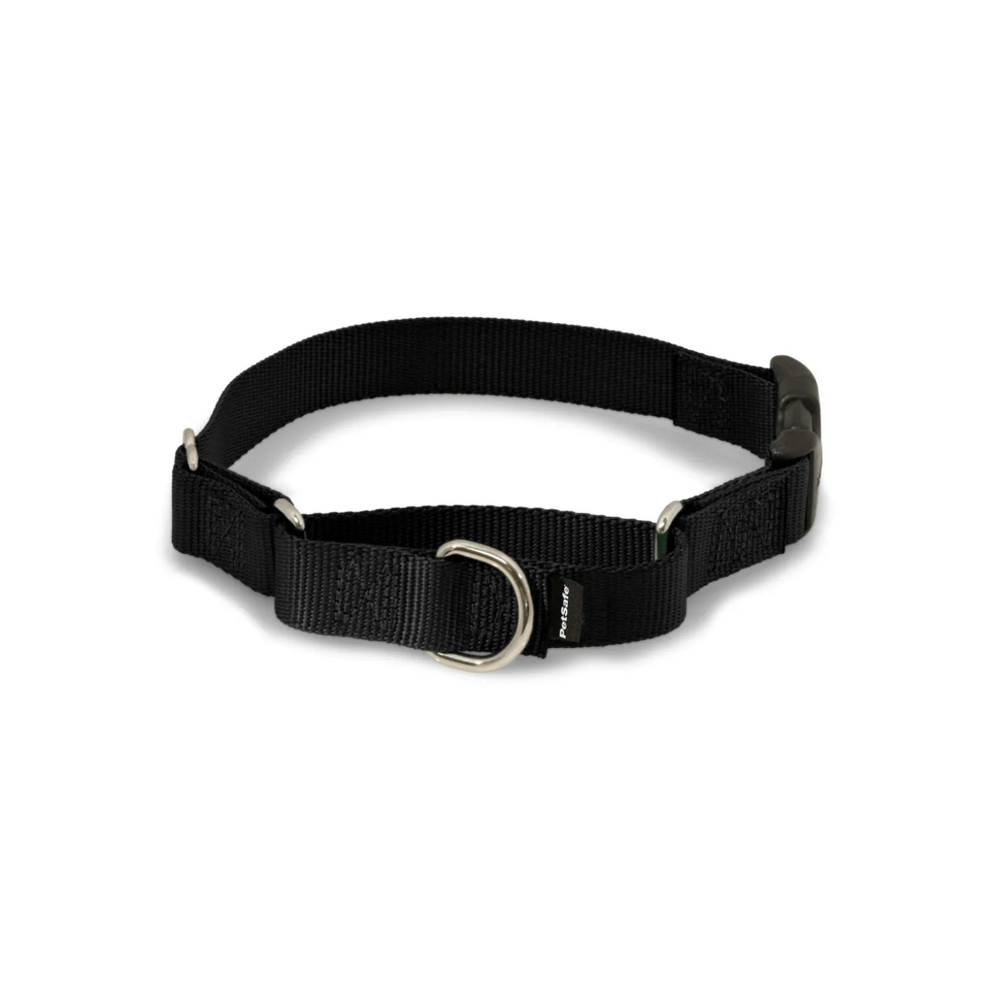 PetSafe プレミアカラー Pサイズ(1cm幅) ☆バックル付☆ 超小型犬用