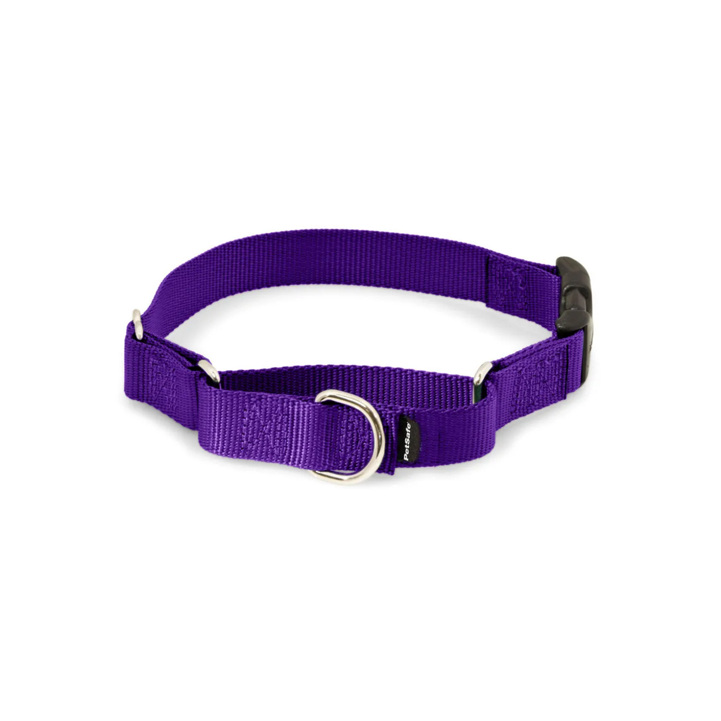 PetSafe プレミアカラー Pサイズ(1cm幅) ☆バックル付☆ 超小型犬用