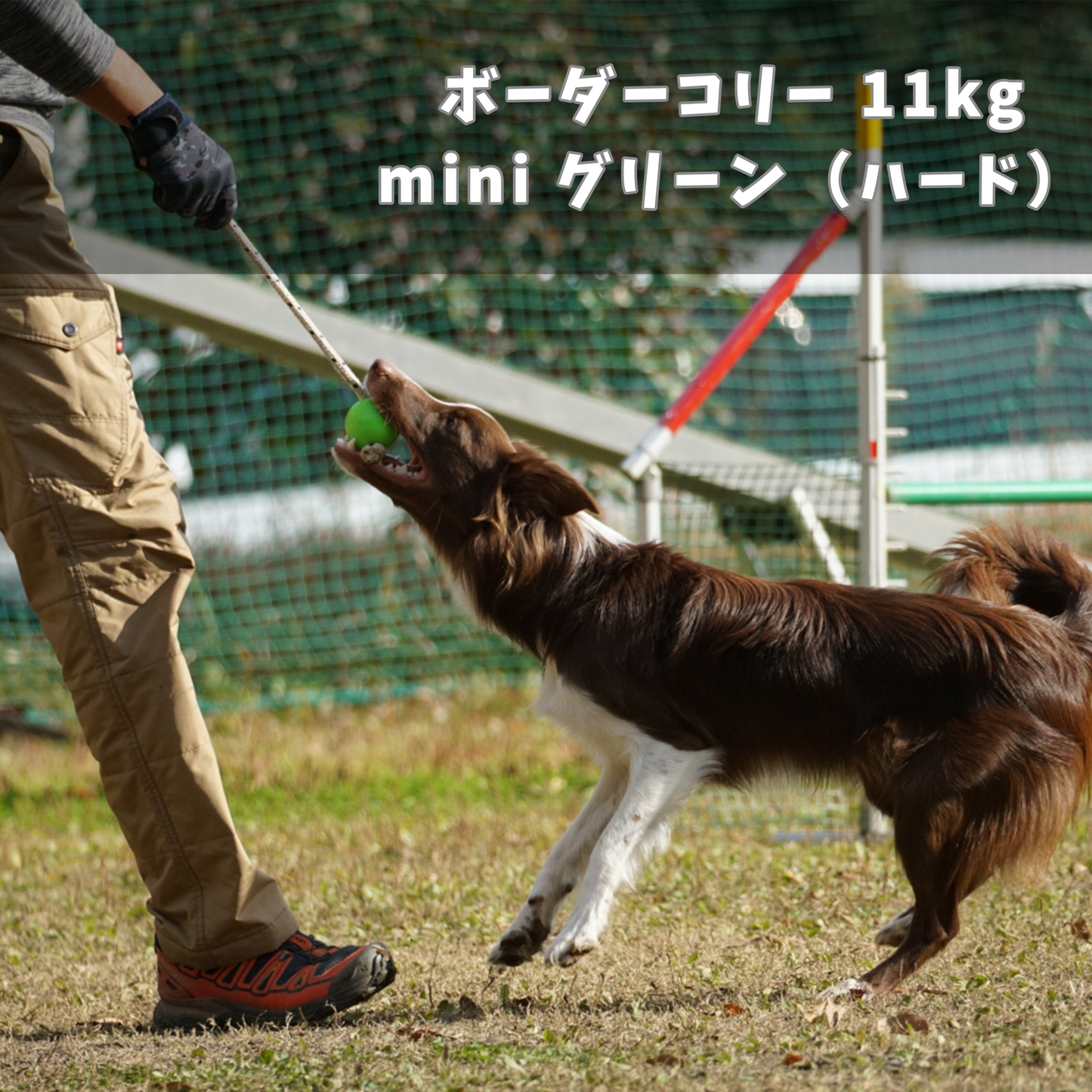 【正規品】Top-Matic ファンボール mini(ボール単品)5.8cm 各種