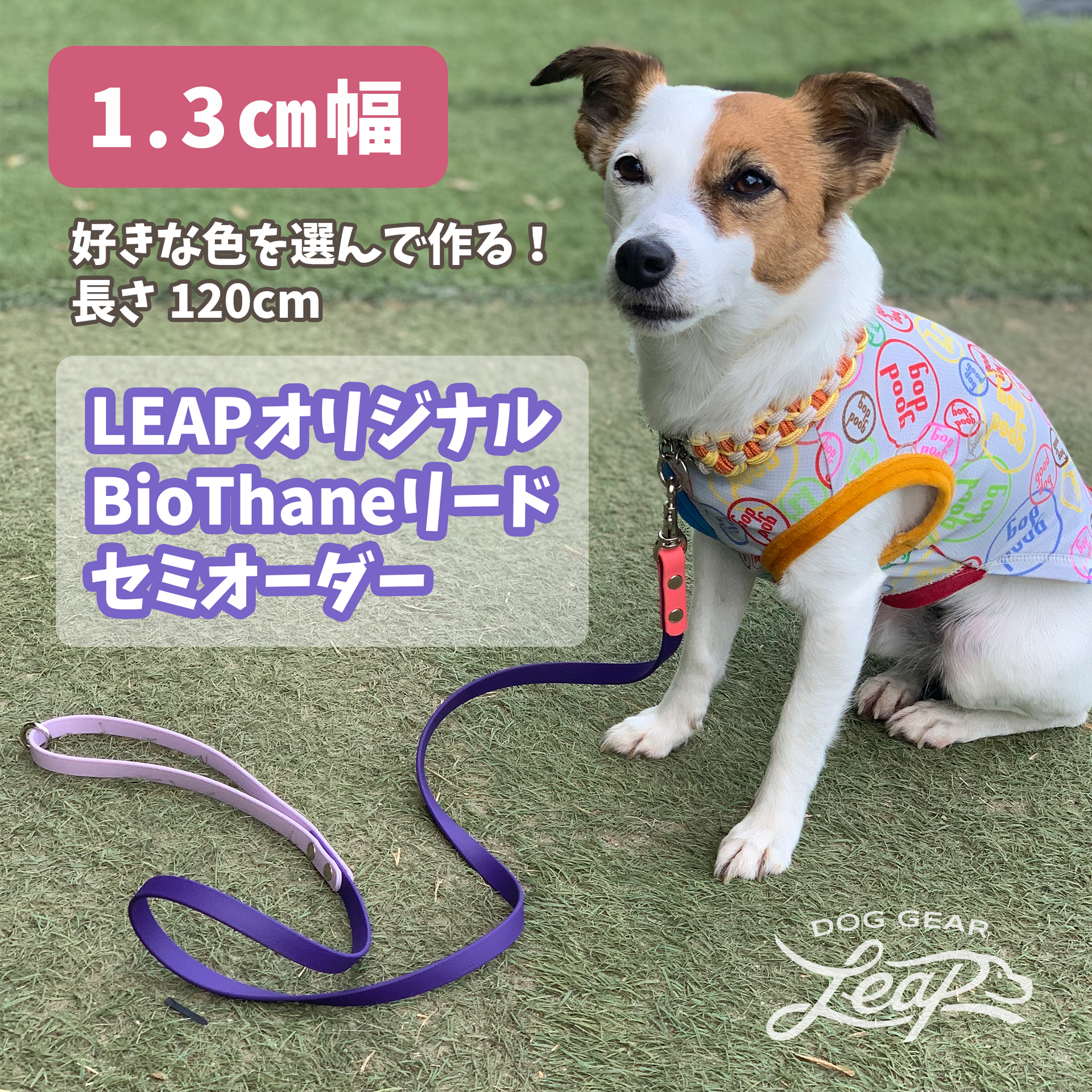 イタリア直接買付☆for pets onlyカラー＆リードセット LEAPオリジナル】BioThane製 120cmリード 幅1.3cm（セミオーダー