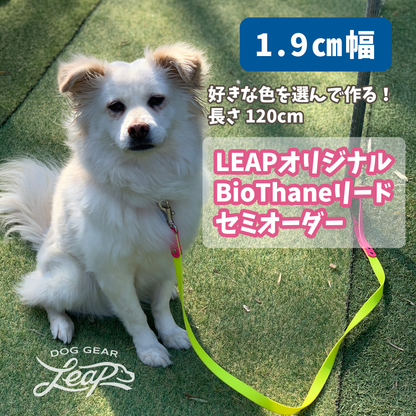 【LEAPオリジナル】 BioThane製 120cmリード 幅1.9cm（セミオーダー）
