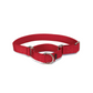 PetSafe プレミアカラー Pサイズ（1cm幅） 超小型犬用
