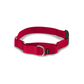 PetSafe プレミアカラー Sサイズ（1.9cm幅） ☆バックル付☆ 小型犬用